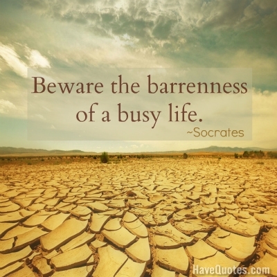 Beware the barrenness of a busy life Quote