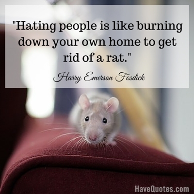 Hating people is like burning down your own home to get rid of a rat Quote