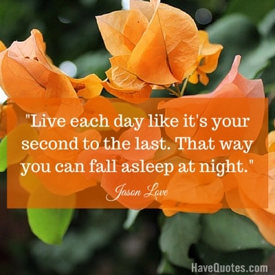 Live each day like its your second to the last That way you can fall asleep at night Quote