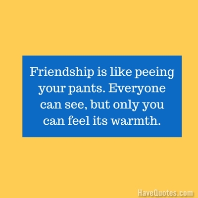 Friendship is like peeing your pants Everyone can see but only you can feel its warmth Quote
