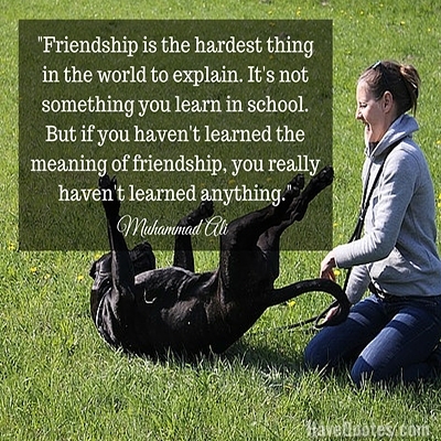Friendship is the hardest thing in the world to explain Its not something you learn in school But if you havent learned the meaning of friendship you really havent learned anything Quote