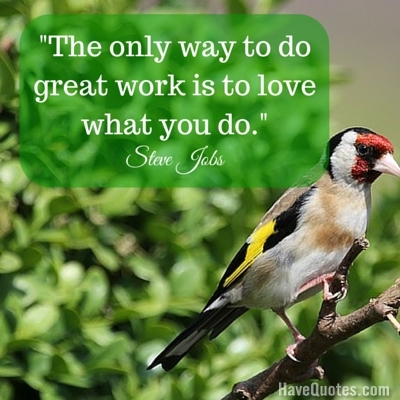The only way to do great work is to love what you do Quote
