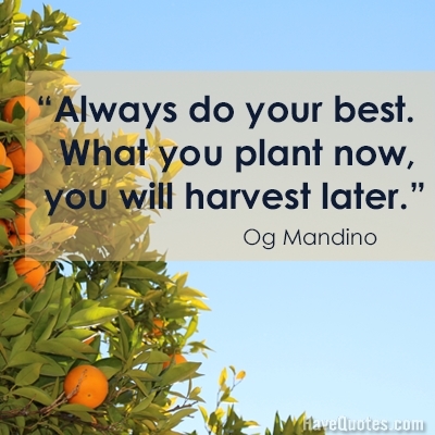 Always do your best What you plant now you will harvest later Quote