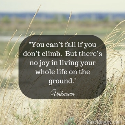 You cant fall if you dont climb But theres no joy in living your whole life on the ground Quote