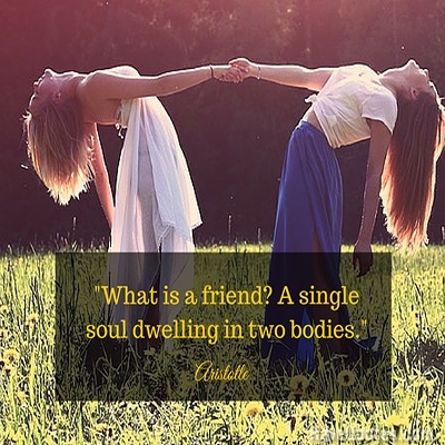 What is a friend A single soul dwelling in two bodies Quote