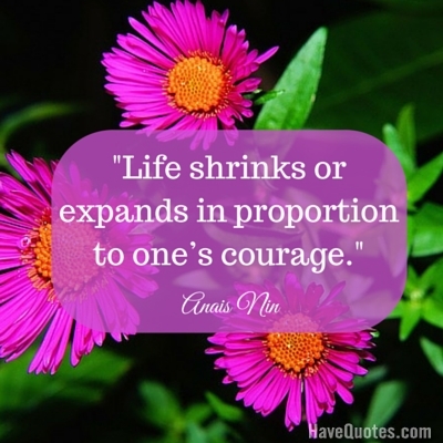 Life shrinks or expands in proportion to ones courage Quote