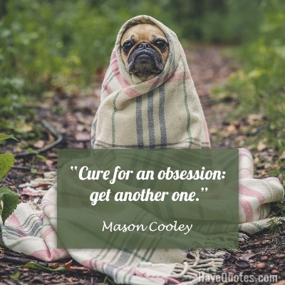 Cure for an obsession get another one Quote - Life Quotes, Love Quotes, Funny  Quotes, and Inspire Quotes at 