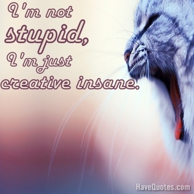 Im not crazy im just creative insane Quote