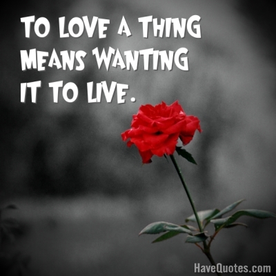 To love a thing means wanting it to Quote